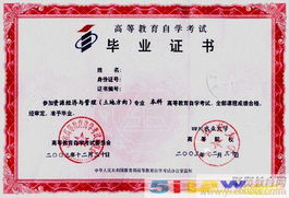 深耕教育咨詢領域，嘉渡教育咨詢上海引領行業新標桿